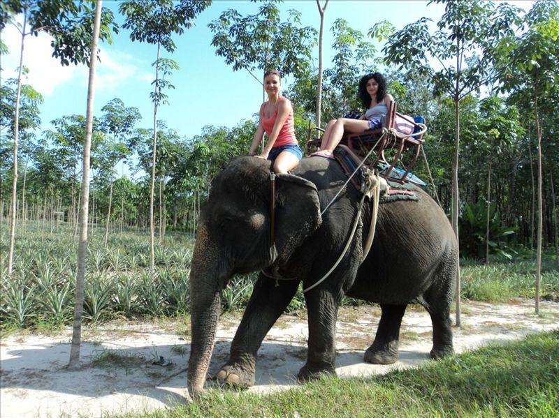 Oana Tabara- Vacanta in Thailanda - decembrie 2011