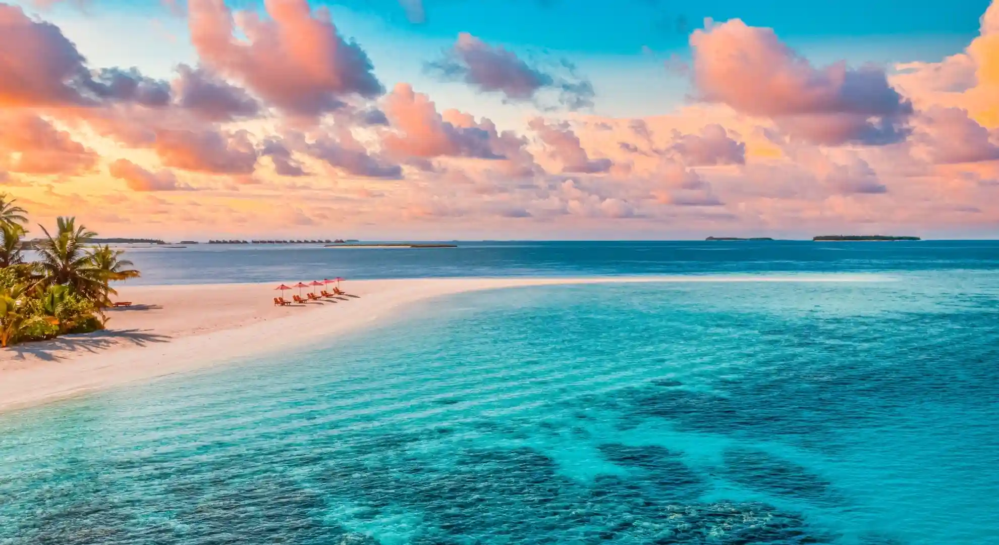 Aerocenter Vacante exotice