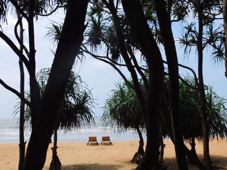 Attila si Erika - noiembrie 2018