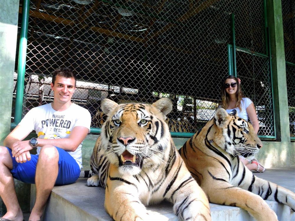 Luna de miere Thailanda - decembrie 2015