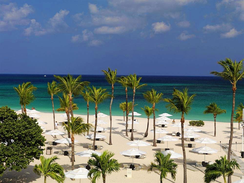 Bucuti Beach Resort & Tara Beach Suites