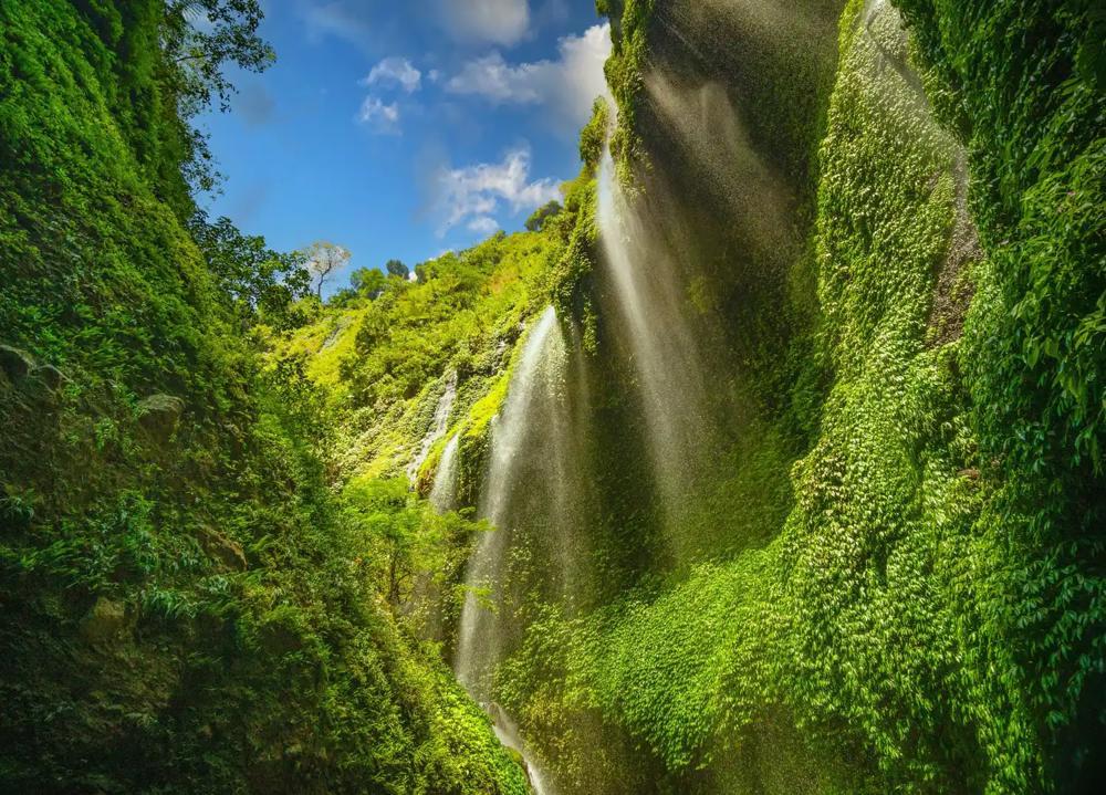 Cascadă insula Java Indonezia