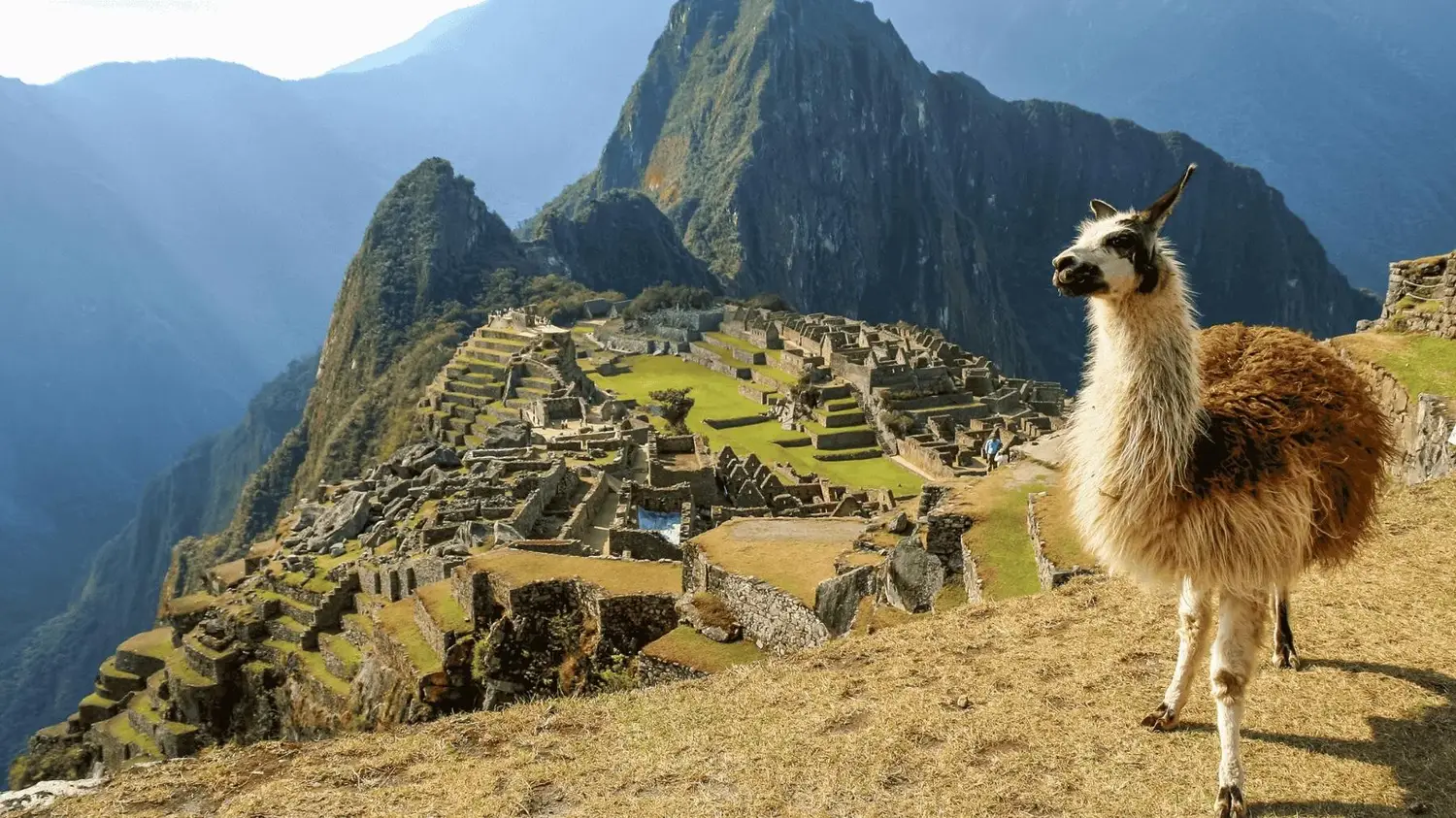 Circuit America de Sud