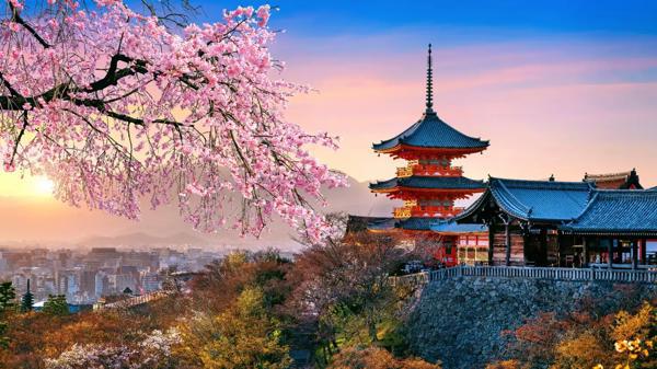 Circuit Coreea de Sud si Japonia - Aventura Asiatica (Seul, Osaka, Kyoto, Nara, Hakone, Tokyo)