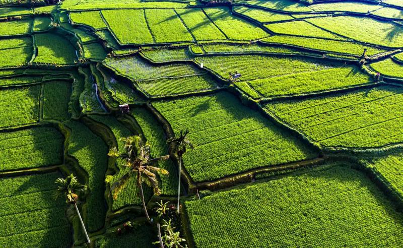 Circuit exotic Bali si Lombok