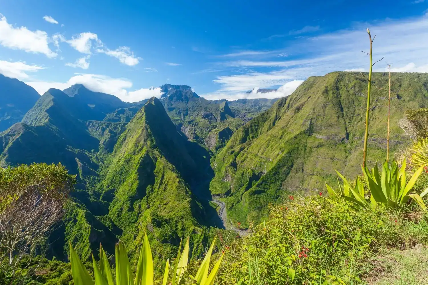 Circuit "Descopera frumusetea salbatica a insulei La Reunion"