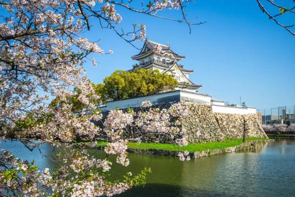 Calatorie in inima Japoniei