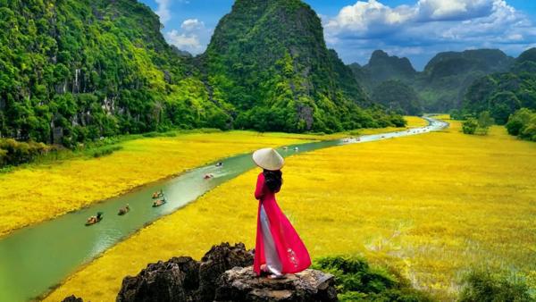 Circuite individuale