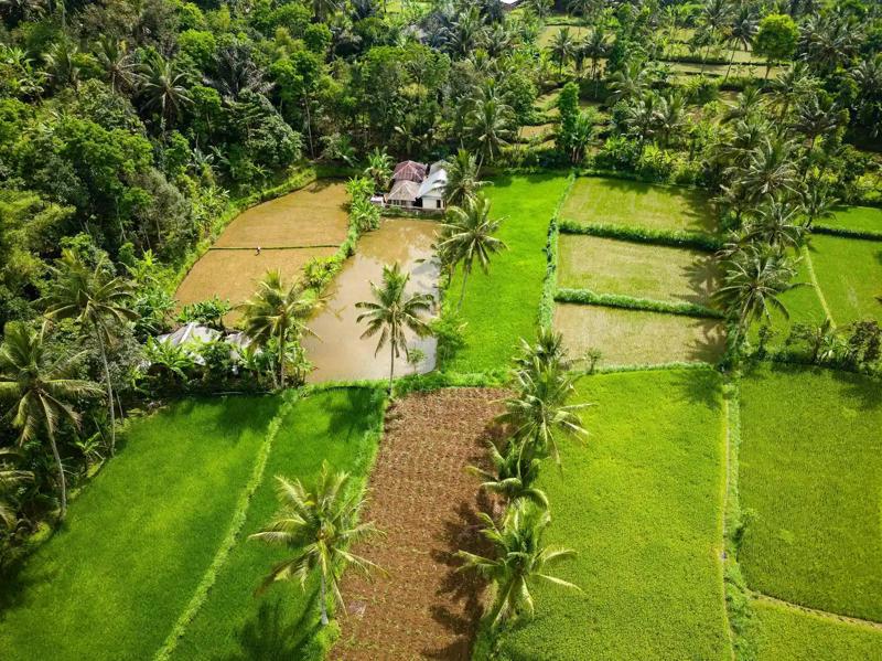 Combinatie Bali Lombok