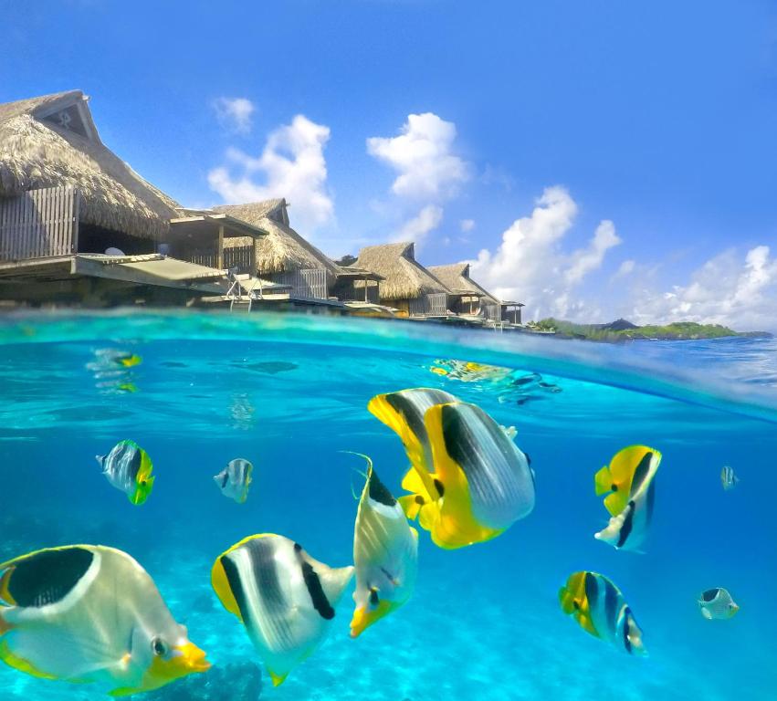 Conrad Bora Bora Nui