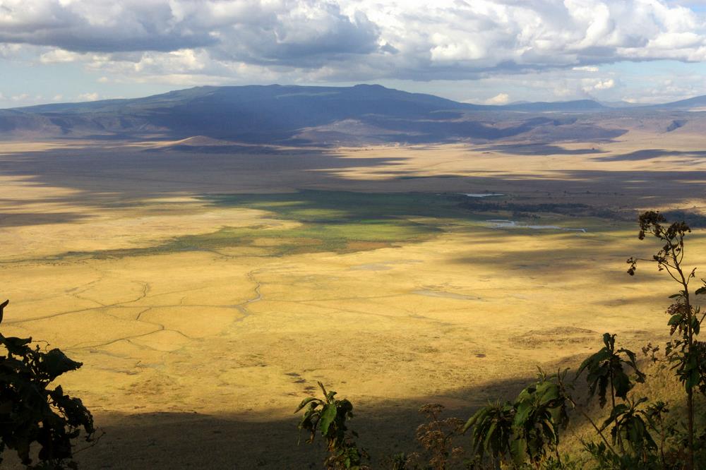 Craterul Ngorongoro
