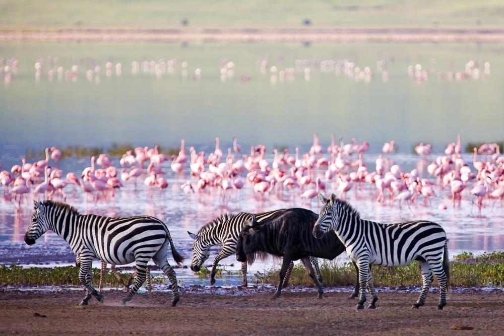 Craterul Ngorongoro