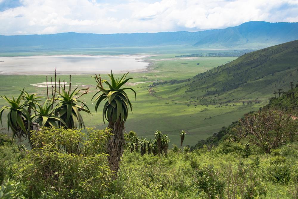 Craterul Ngorongoro