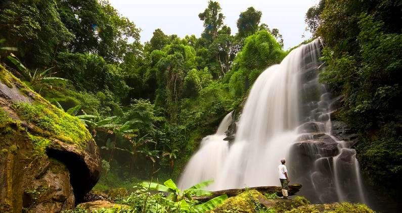 Doi Suthep - Pui National Park
