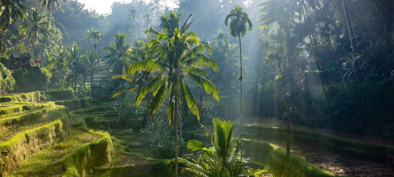 Insulă natură exotică Bali