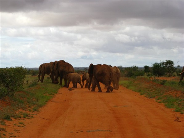 Kenya, Diani Reef Beach Resort & Spa, Iunie 2011