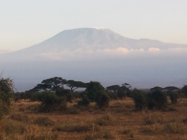 Raluca si Daniel - iulie 2019