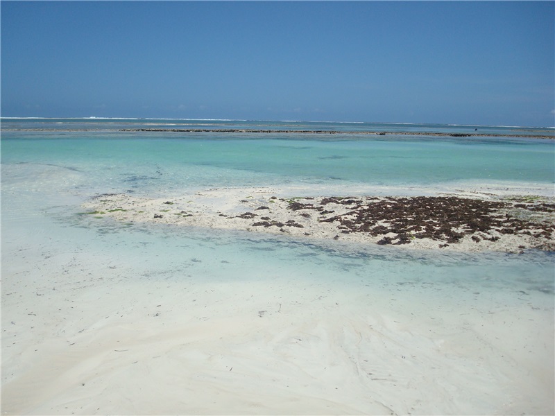 Kenya octombrie 2012