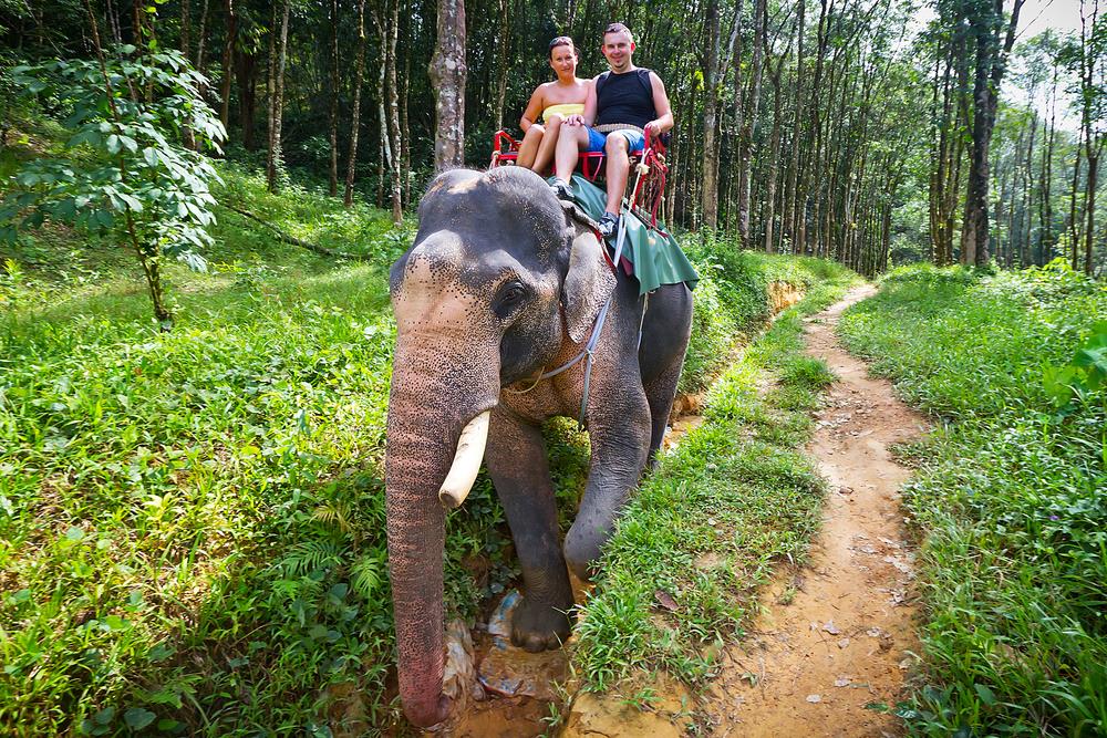 Khao Sok National Park