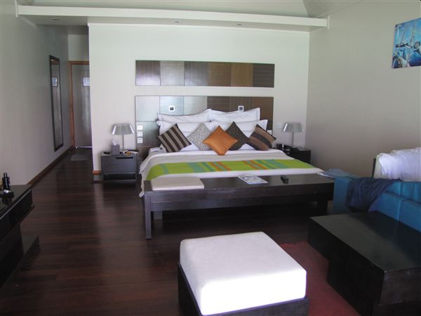 Silvana Popovici - Revelion 