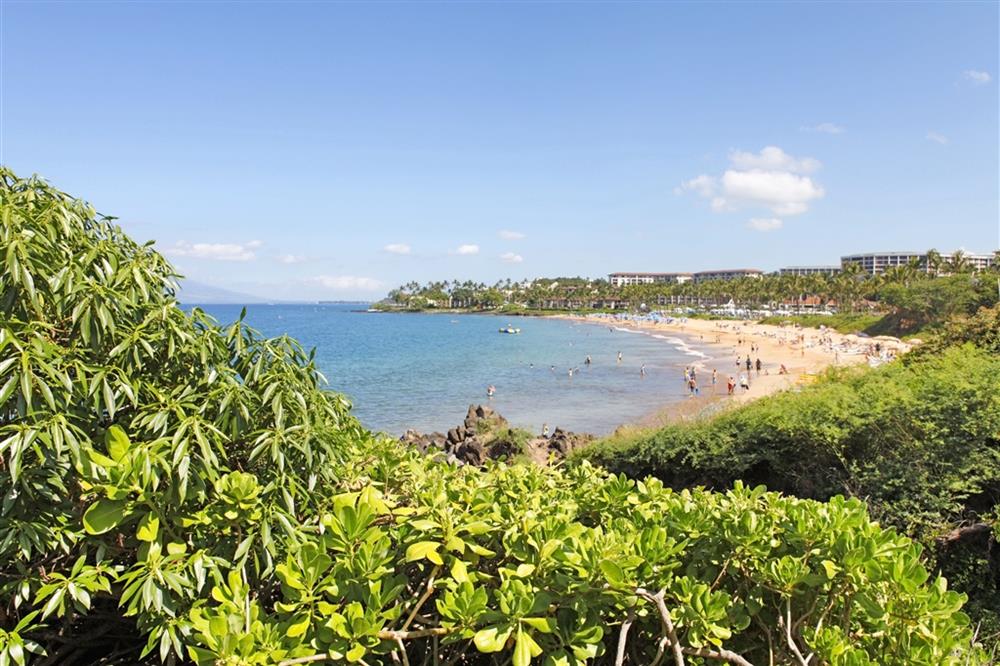 Maui Coast Hotel
