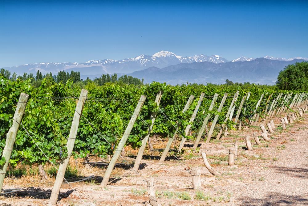 Mendoza