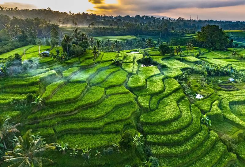 Natură exotică Indonezia
