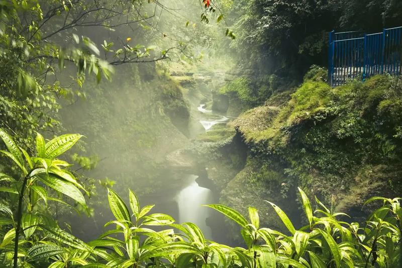 Natură exotică Nepal