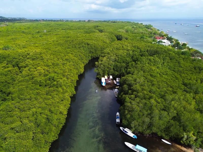 Natură exotică Nusa Lembongan
