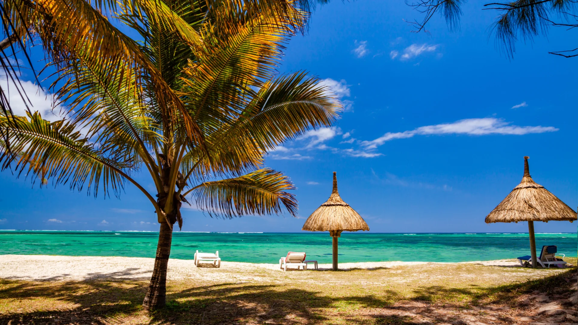 Oferte Sejur & Vacanta Reunion