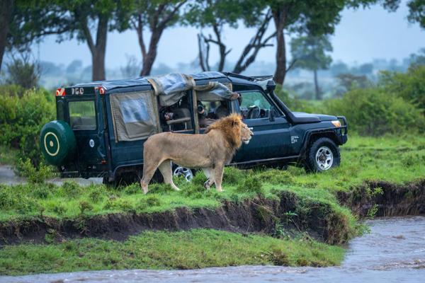 Clasic Kenya: Masai Mara, Nakuru si Amboseli