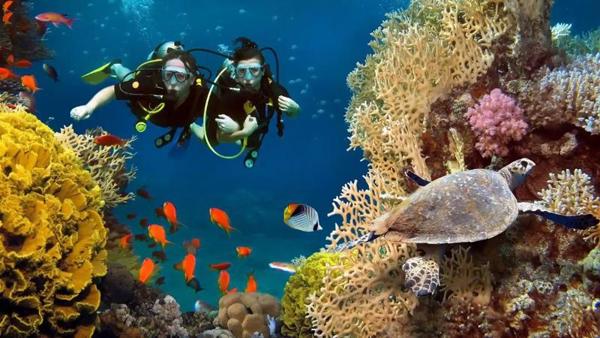 snorkeling Maldive