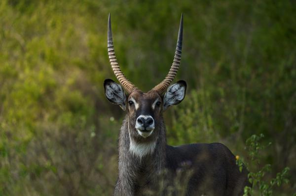 Best of Tanzania