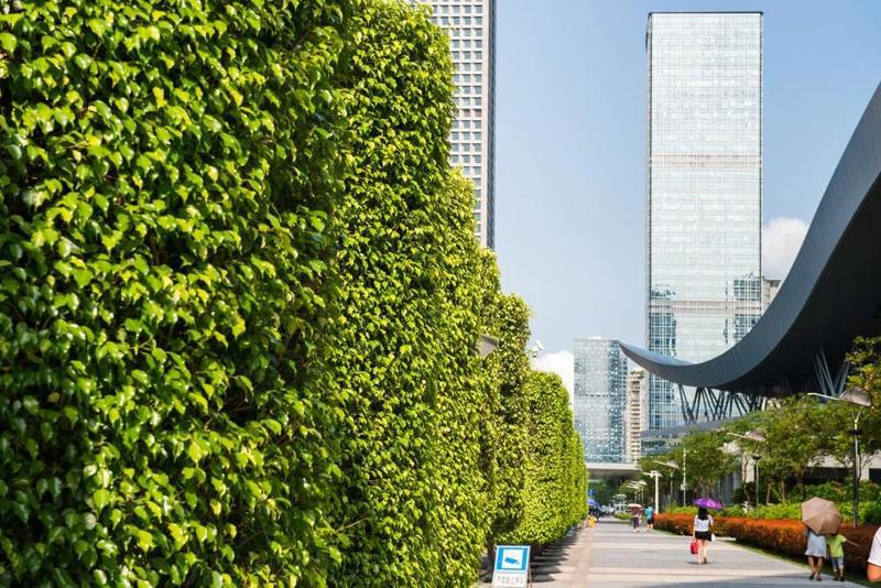 Shenzhen