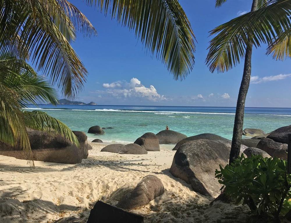 Georgiana - februarie 2019