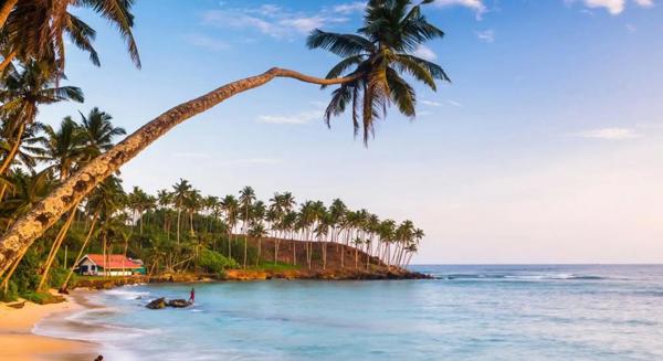 Sri Lanka sau Maldive? Comparatie completa 2026 — Pret, Plaja, Activitati