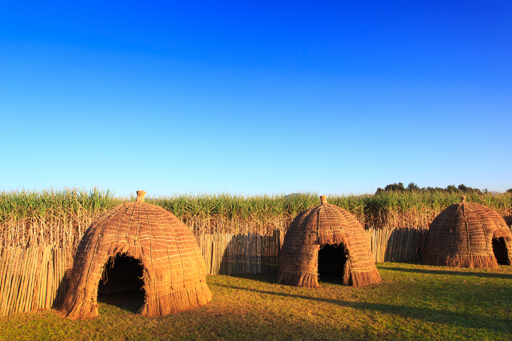 South African Discovery