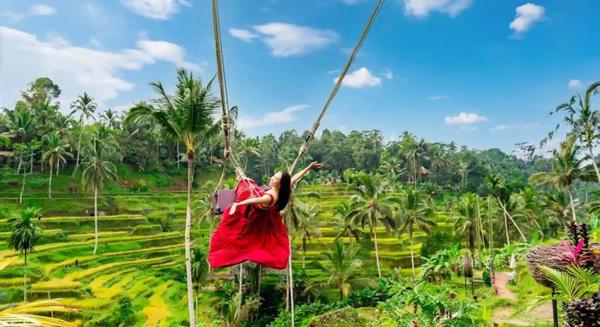 Tegallalang Rice Terraces