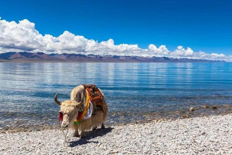 Tibet