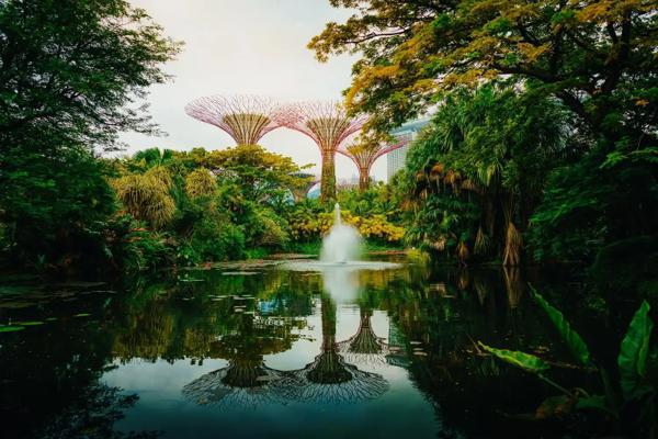 Circuit "Contrastele Asiei"