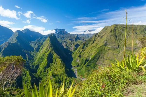 Circuit "Descopera frumusetea salbatica a insulei La Reunion"